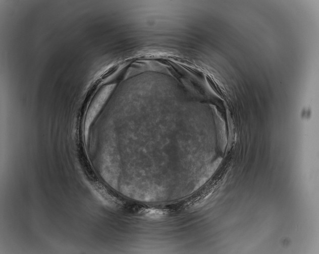 X0000099570352200806061608