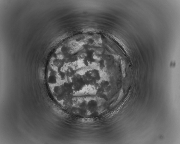 X0000099570353200806061608