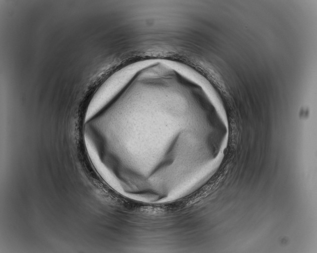 X0000099570354200806061608
