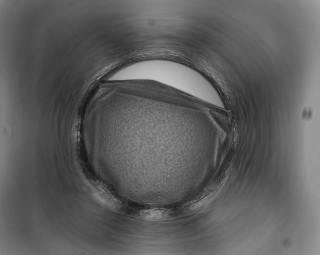 X0000099570356200806061608