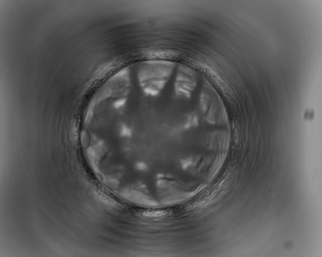 X0000099570357200806061608