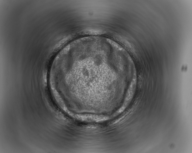 X0000099570358200806061608