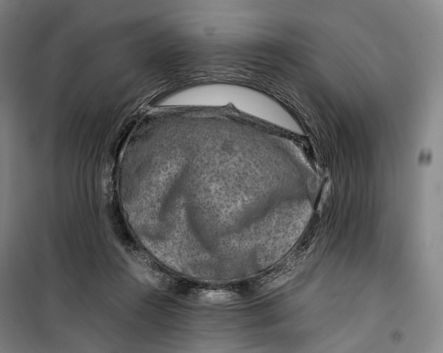 X0000099570360200806061608