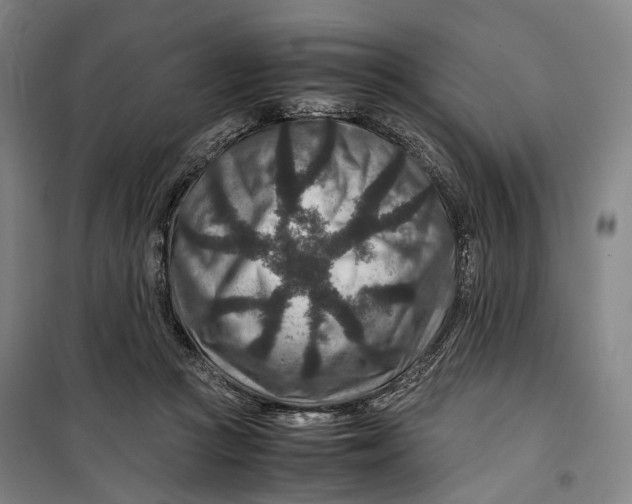 X0000099570361200806061608