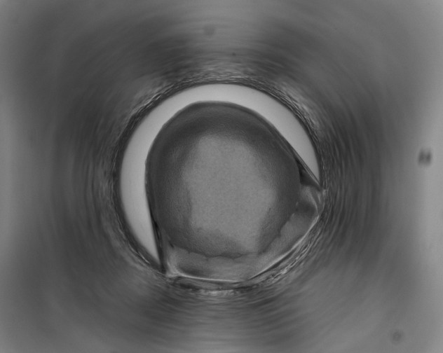 X0000099570362200806061608