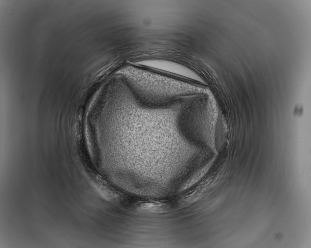 X0000099570364200806061608