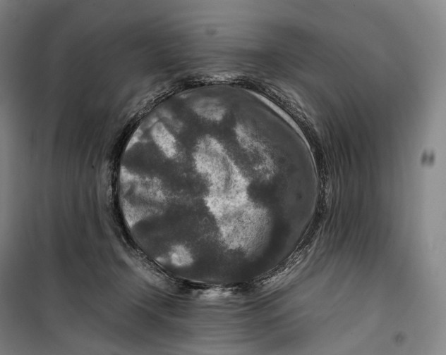 X0000099570366200806061608