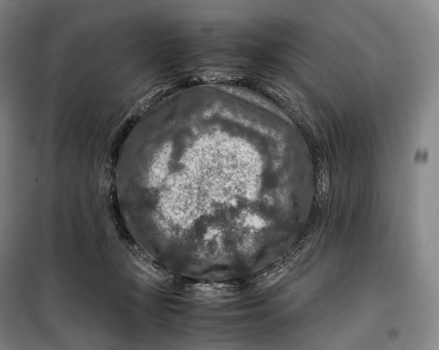 X0000099570367200806061608