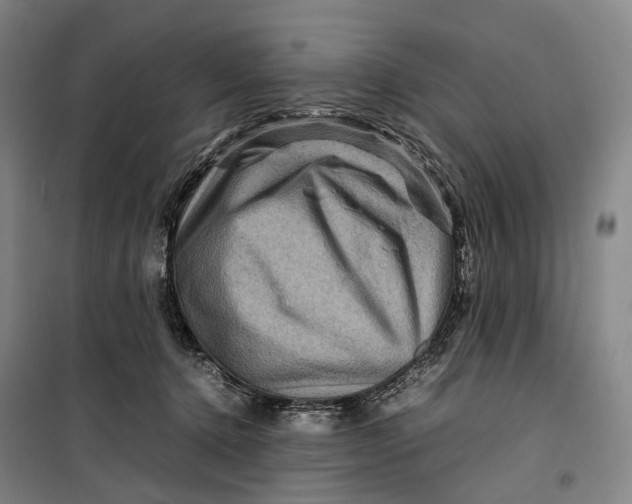 X0000099570368200806061608