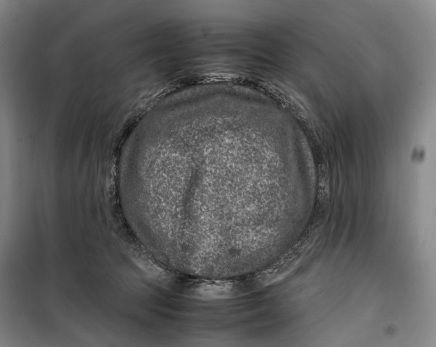 X0000099570369200806061608