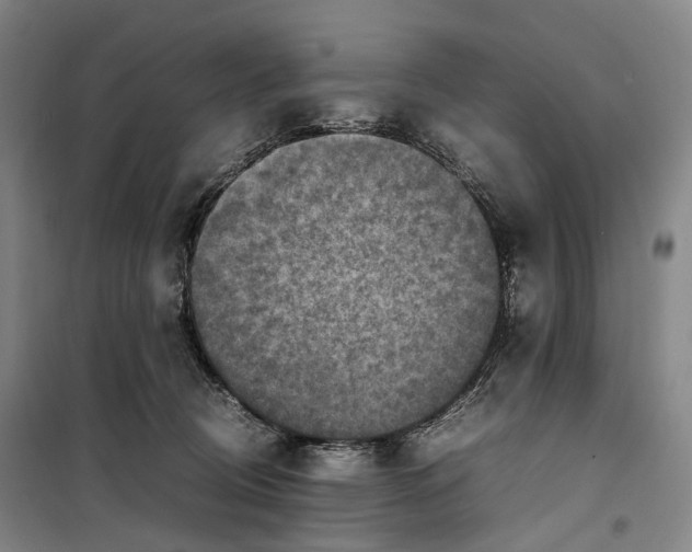 X0000099570370200806061608