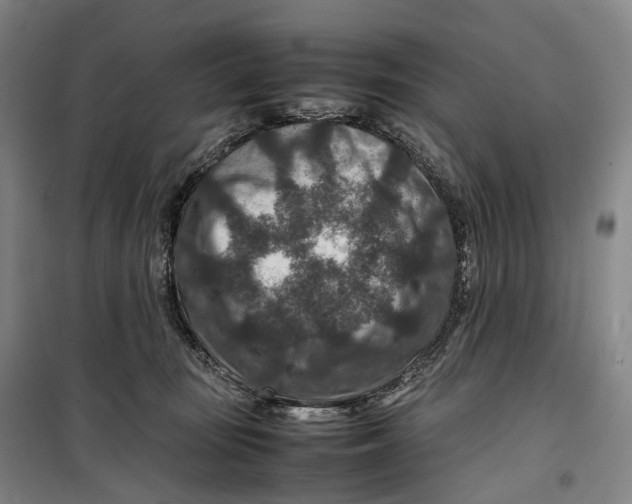 X0000099570371200806061608
