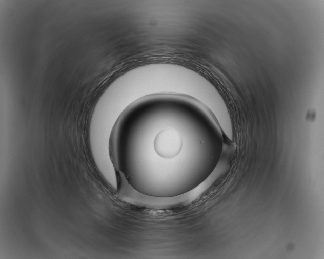 X0000099570372200806061608
