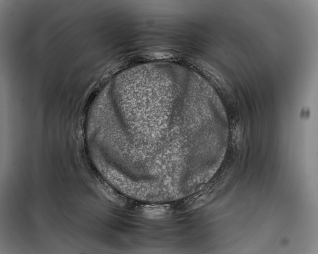 X0000099570373200806061608