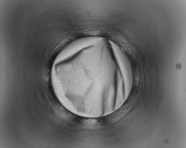 X0000099570374200806061609