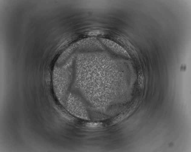 X0000099570375200806061609