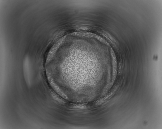 X0000099570377200806061609