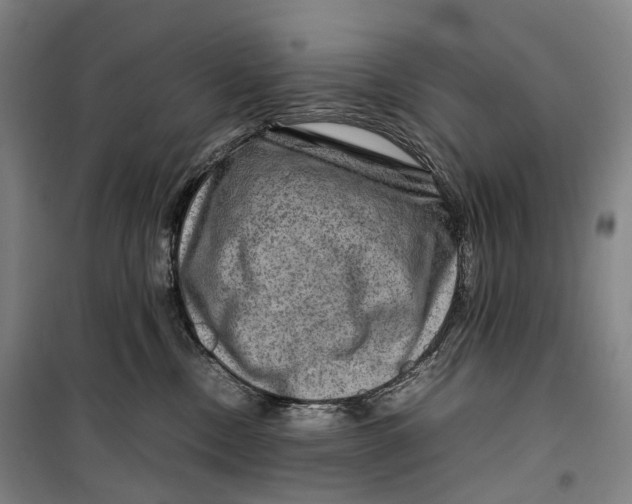 X0000099570378200806061609