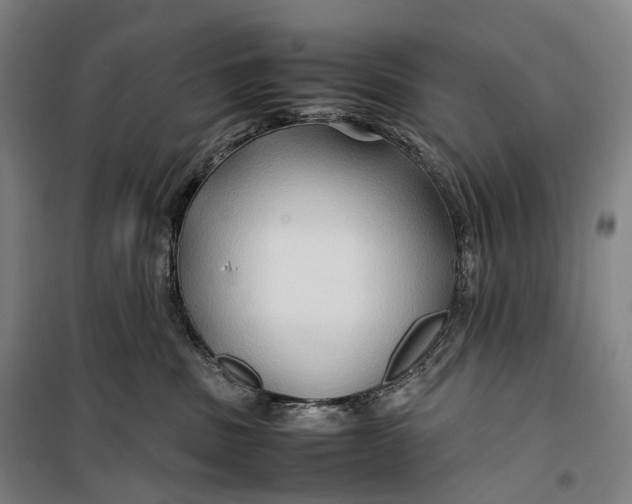 X0000099570379200806061609