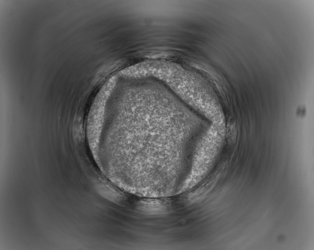X0000099570381200806061609