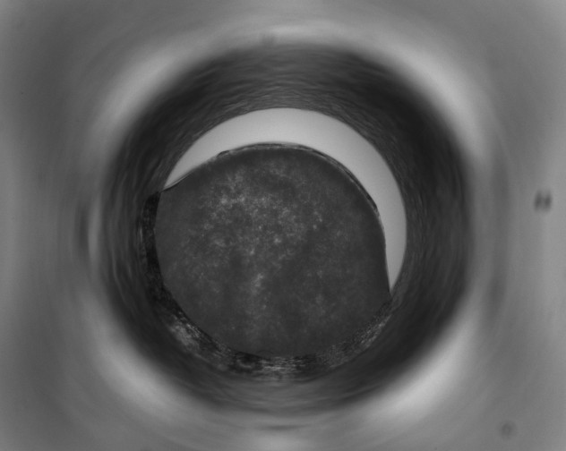 X0000099570382200806061609