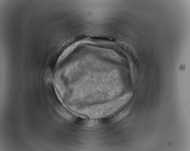 X0000099570384200806061609
