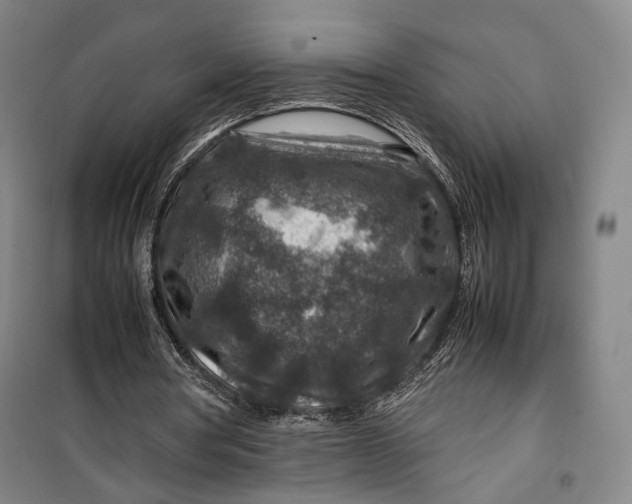 X0000099570386200806061608