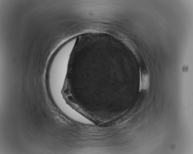 X0000099570387200806061608