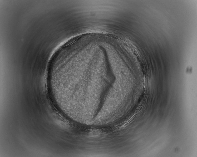 X0000099570388200806061608