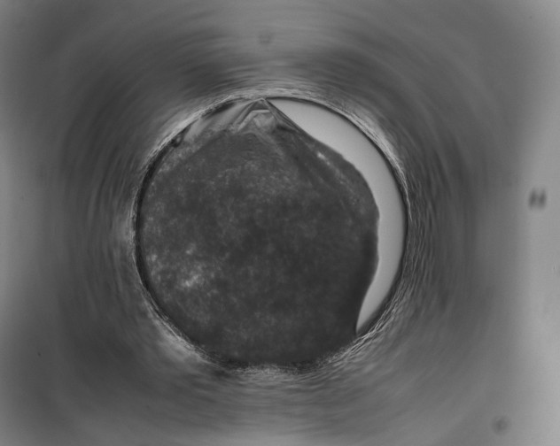 X0000099570389200806061608