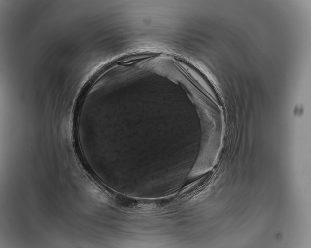 X0000099570391200806061608