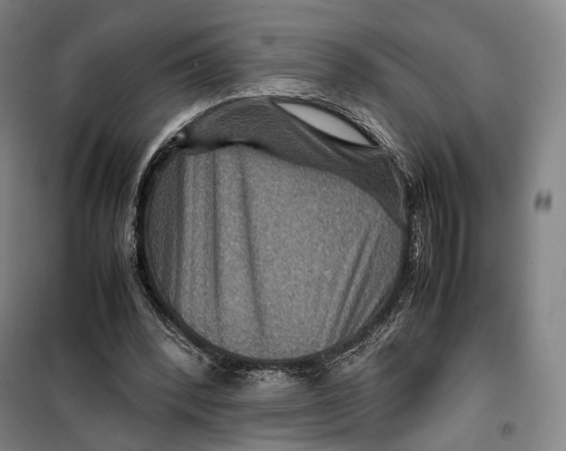 X0000099570392200806061608