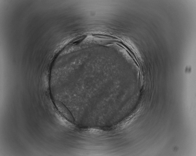 X0000099570393200806061608