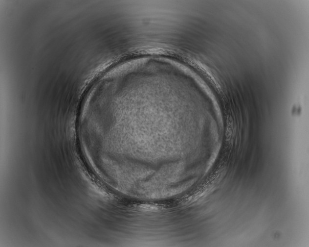 X0000099570394200806061608