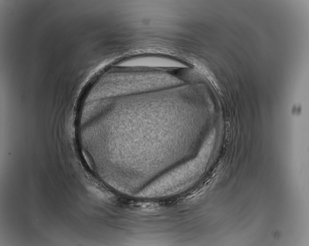 X0000099570395200806061608