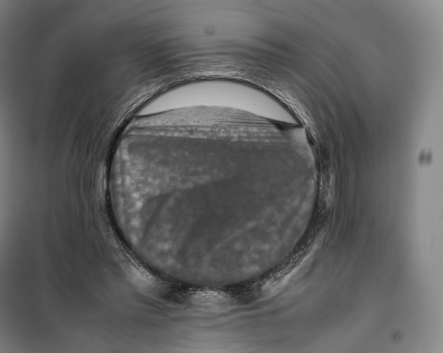 X0000099570397200806061608