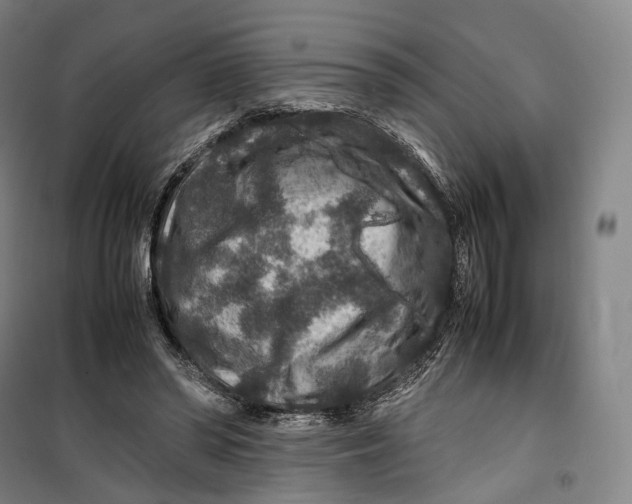 X0000099570398200806061608