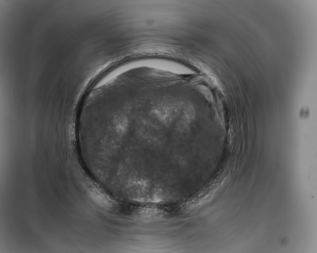 X0000099570399200806061608