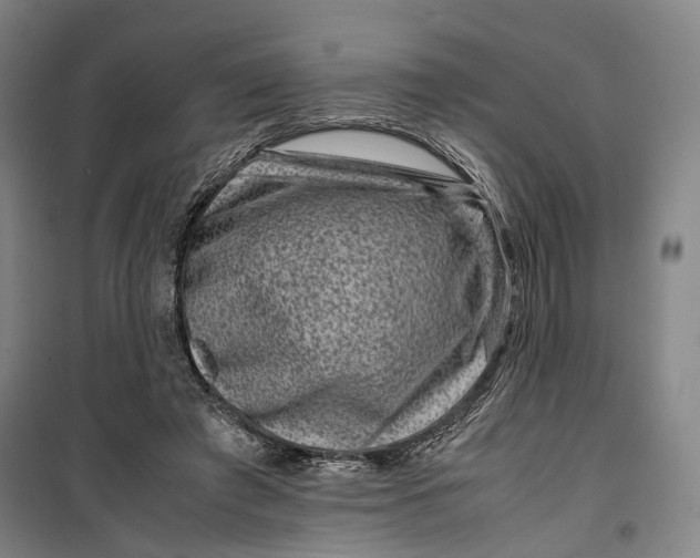 X0000099570401200806061608