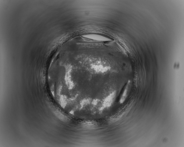 X0000099570402200806061608