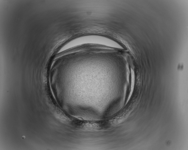 X0000099570403200806061608