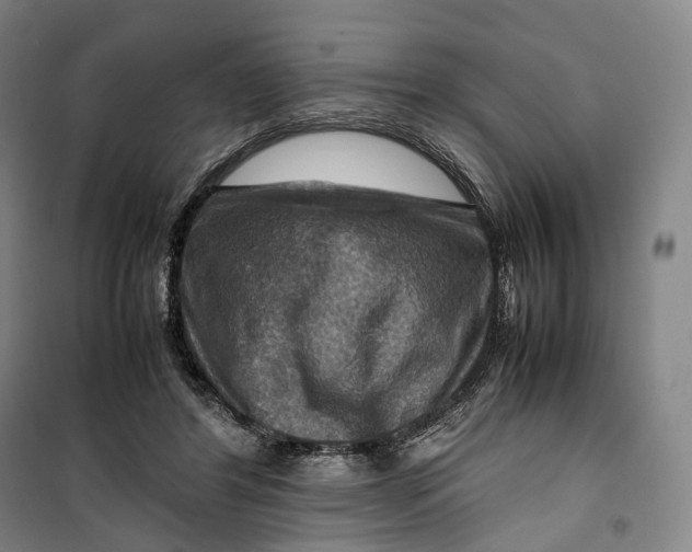 X0000099570404200806061608