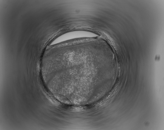 X0000099570405200806061608