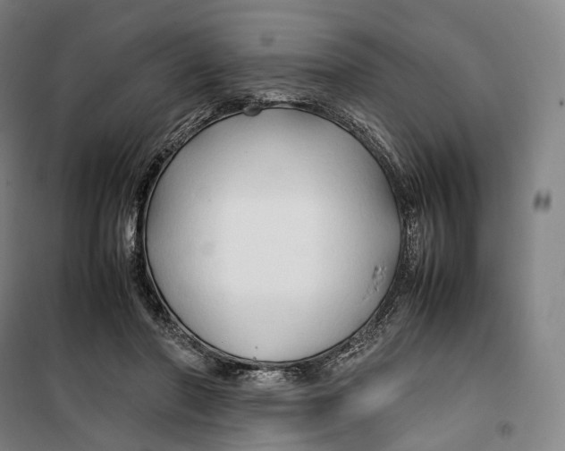 X0000099570406200806061608