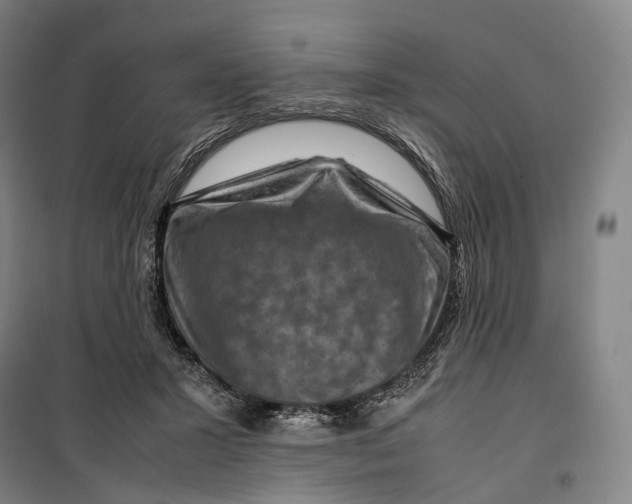 X0000099570407200806061608