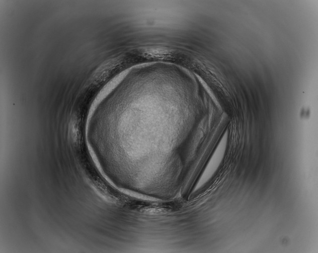 X0000099570408200806061608