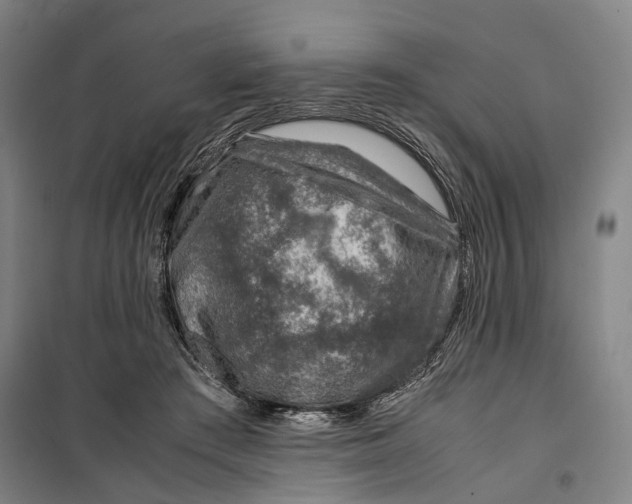 X0000099570409200806061608