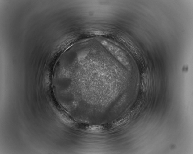 X0000099570410200806061608