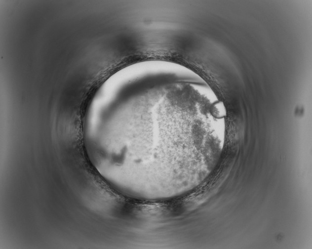 X0000099570411200806061608