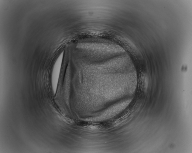 X0000099570412200806061608